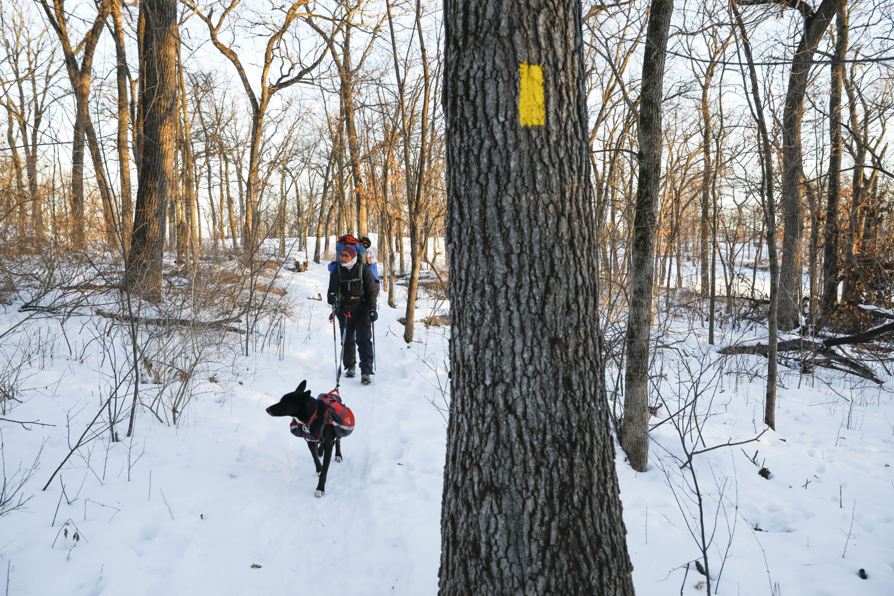 Ice Age Winter Hiker 012221 02-01252021091249
